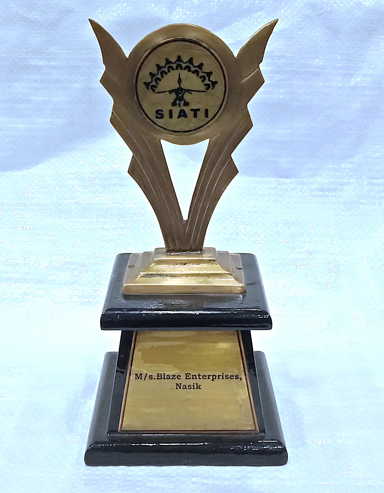 Award for Excellence from SIATI